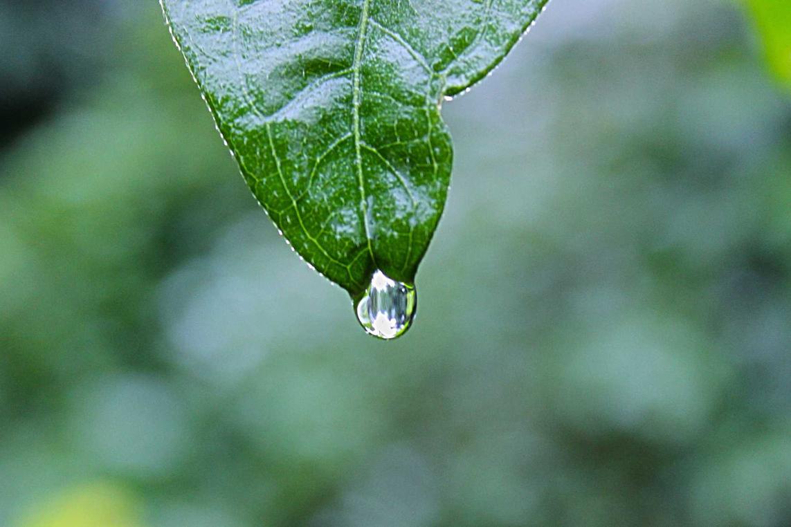 Cum molestias magni ab magni similique nihil voluptate