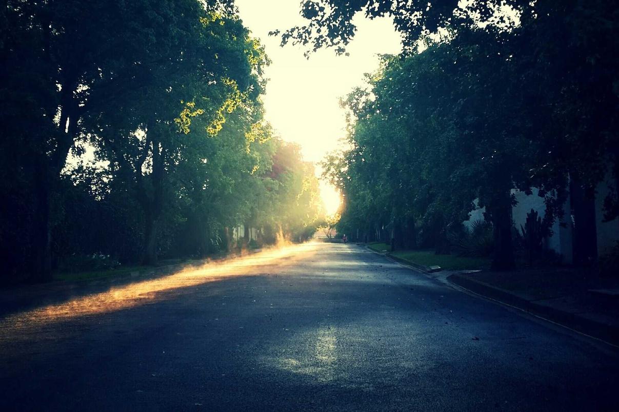 Aut dolorum sapiente